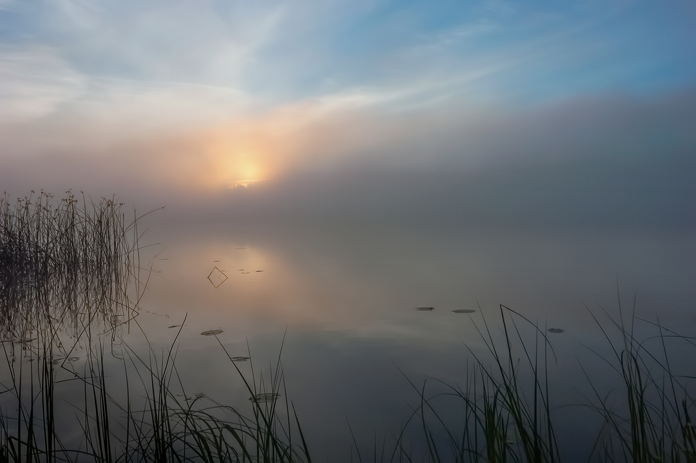 photo "***" tags: landscape, fog, morning, summer