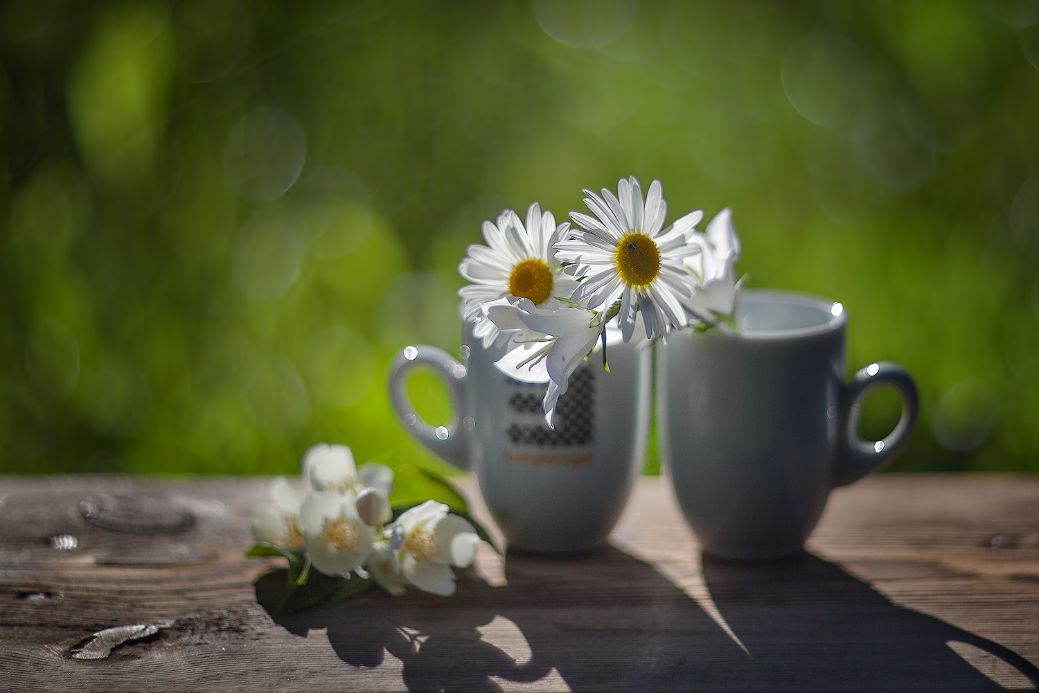 photo "***" tags: still life, 