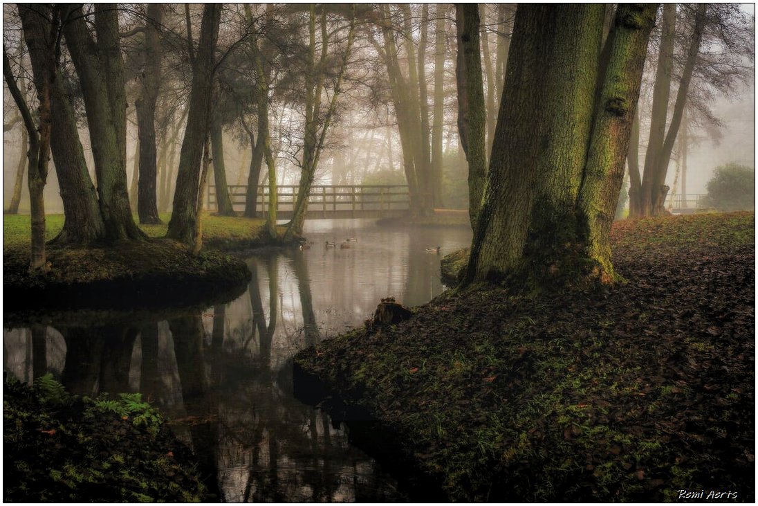 photo "***" tags: landscape, nature, thanks Joan