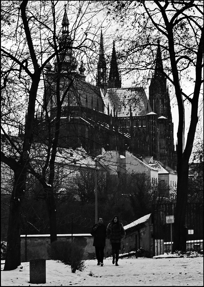 photo "Собор и деревья" tags: black&white, architecture, Prag, Prague, Praha