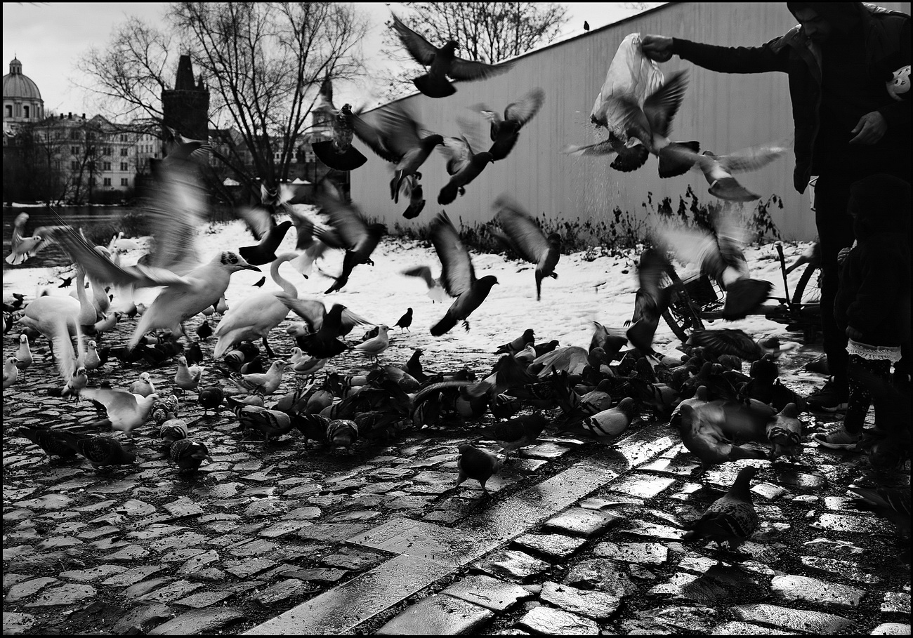 photo "Моментка с набережной" tags: black&white, Prag, Prague, Praha
