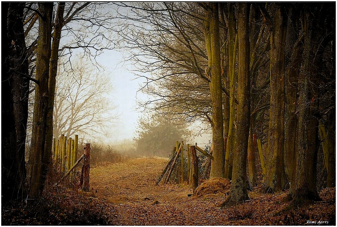 photo "***" tags: landscape, nature, 