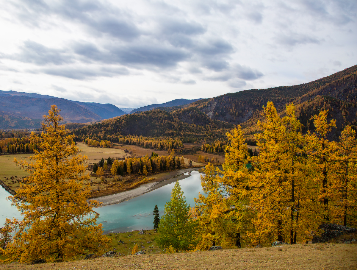 фото "Алтайская осень" метки: пейзаж, путешествия, природа, 