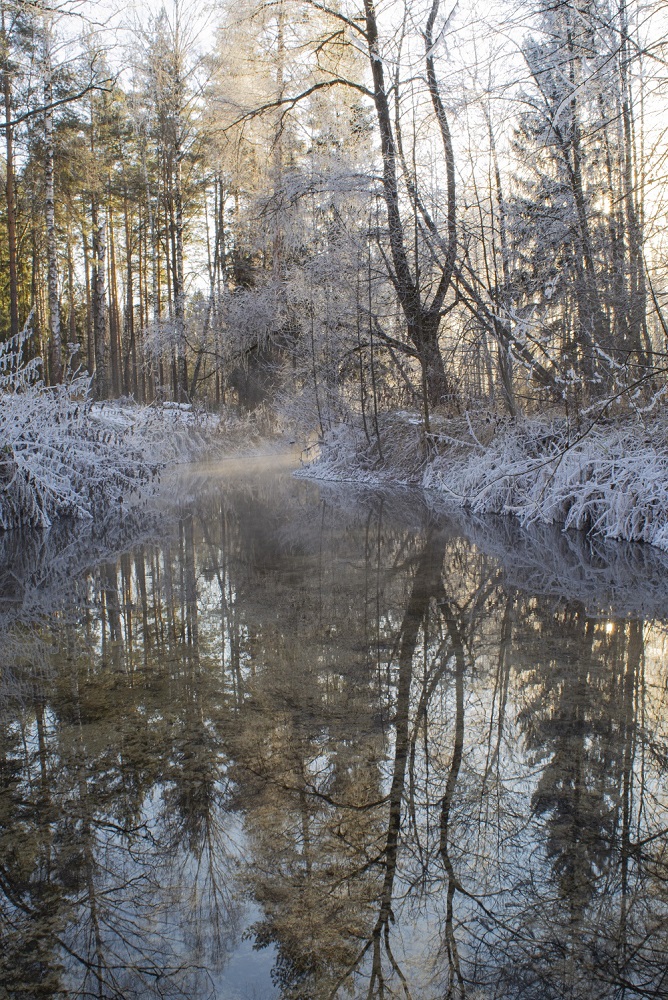 фото "***" метки: природа, Речка, зима, иней, лес, луч, туман