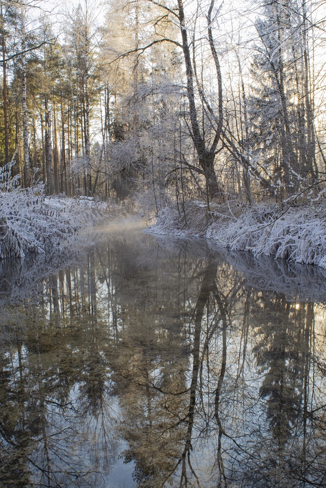 photo "***" tags: nature, fog, forest, hoarfrost, winter, Речка, луч