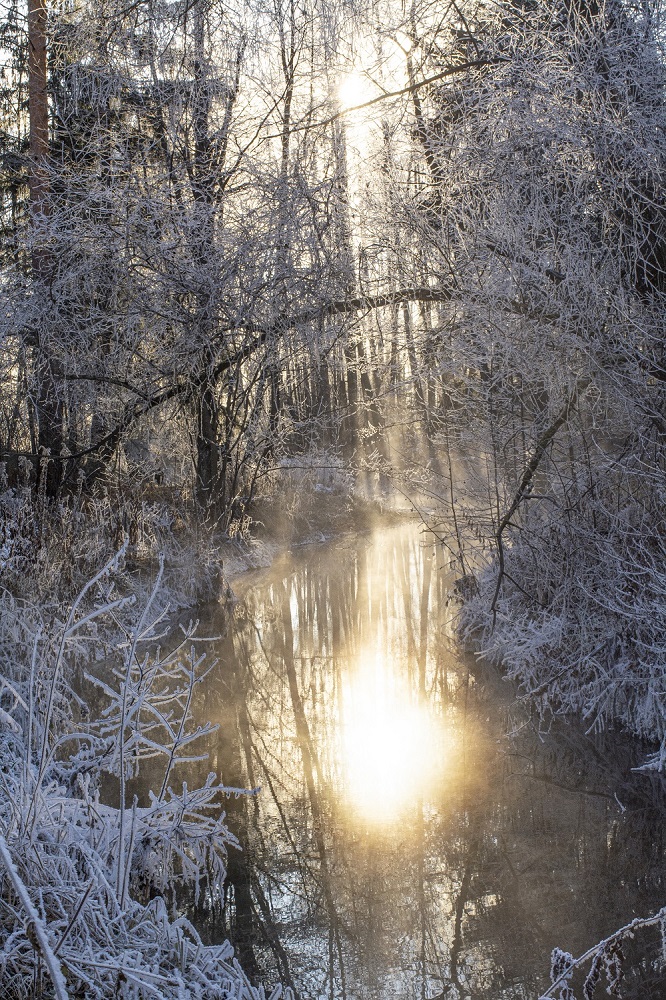 photo "***" tags: nature, fog, forest, hoarfrost, winter, Речка
