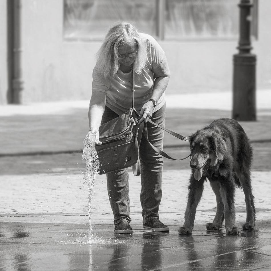 photo "***" tags: black&white, genre, street, 