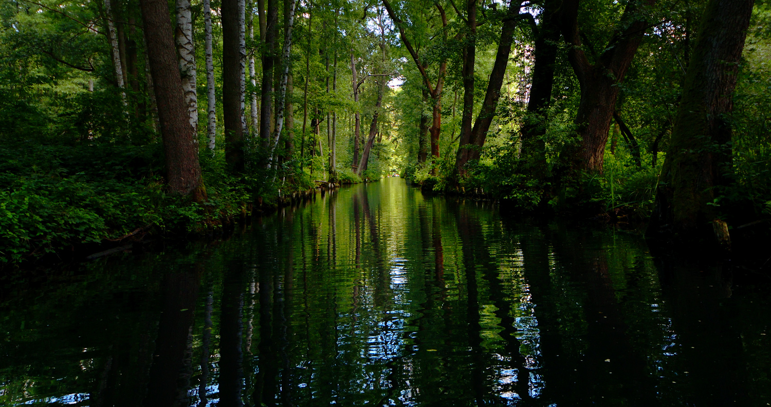 фото "Spreewald" метки: природа, 