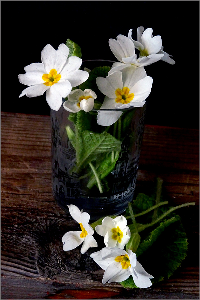 photo "***" tags: still life, 