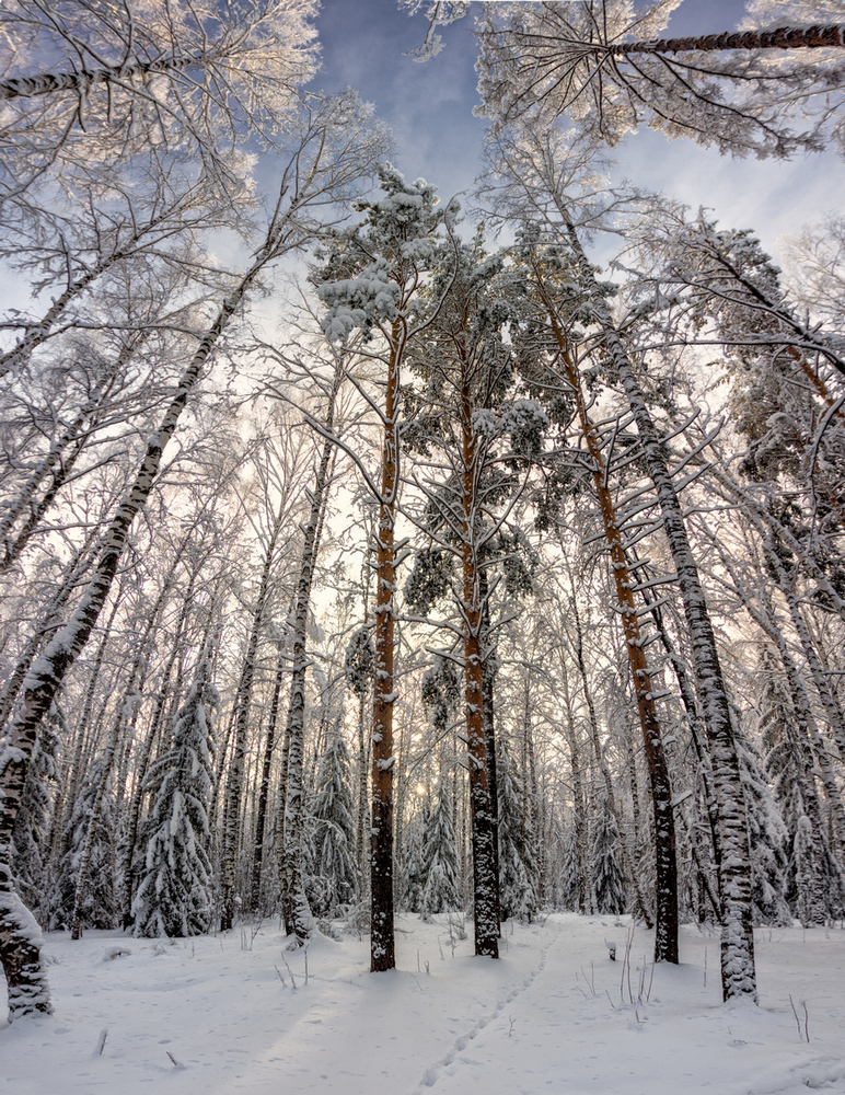 photo "***" tags: landscape, travel, Russia, Tokina 11-16, clouds, curier, forest, snow, winter, Нижний Тагил, Свердловская область, мороз, пихтовые горы