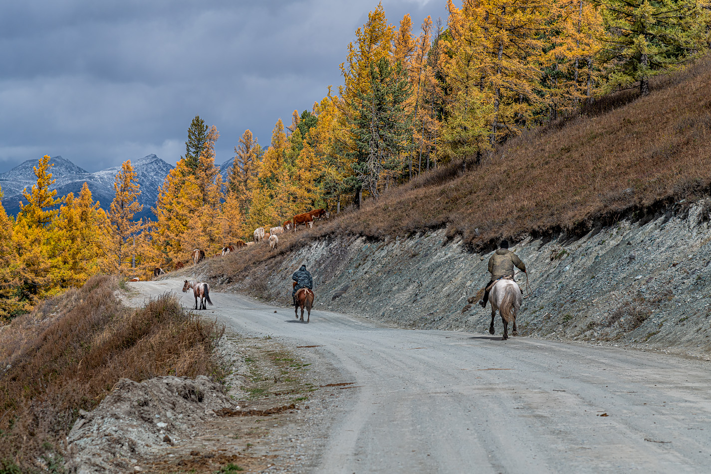 photo "***" tags: travel, landscape, autumn, road, Алтай, путешествие