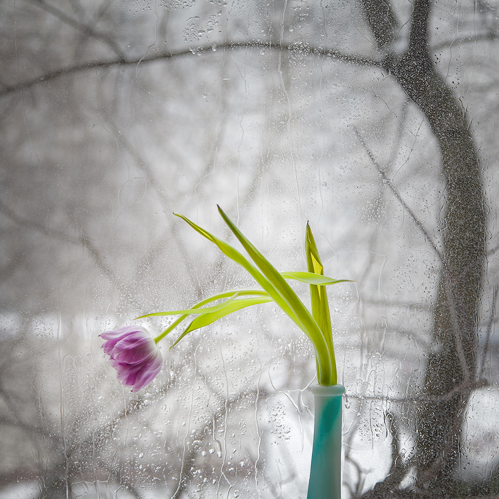 photo "***" tags: still life, 