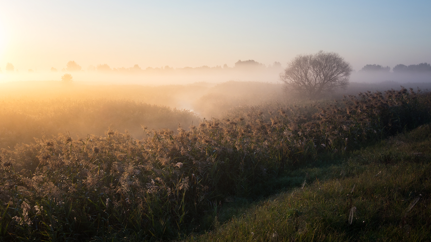 photo "***" tags: landscape, 