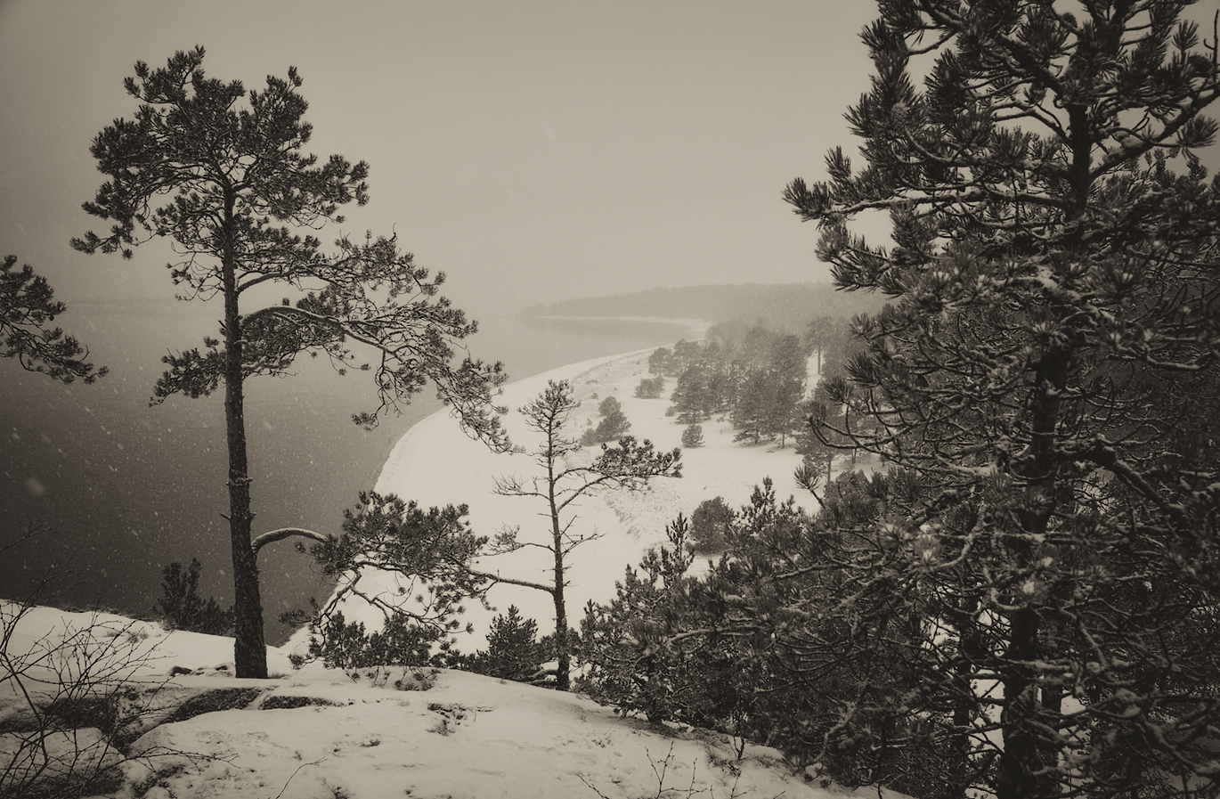 photo "***" tags: landscape, black&white, Karelia, winter