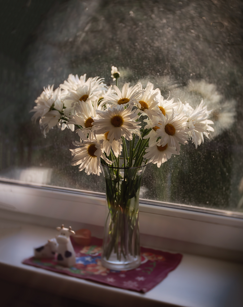 photo "***" tags: still life, flowers, summer