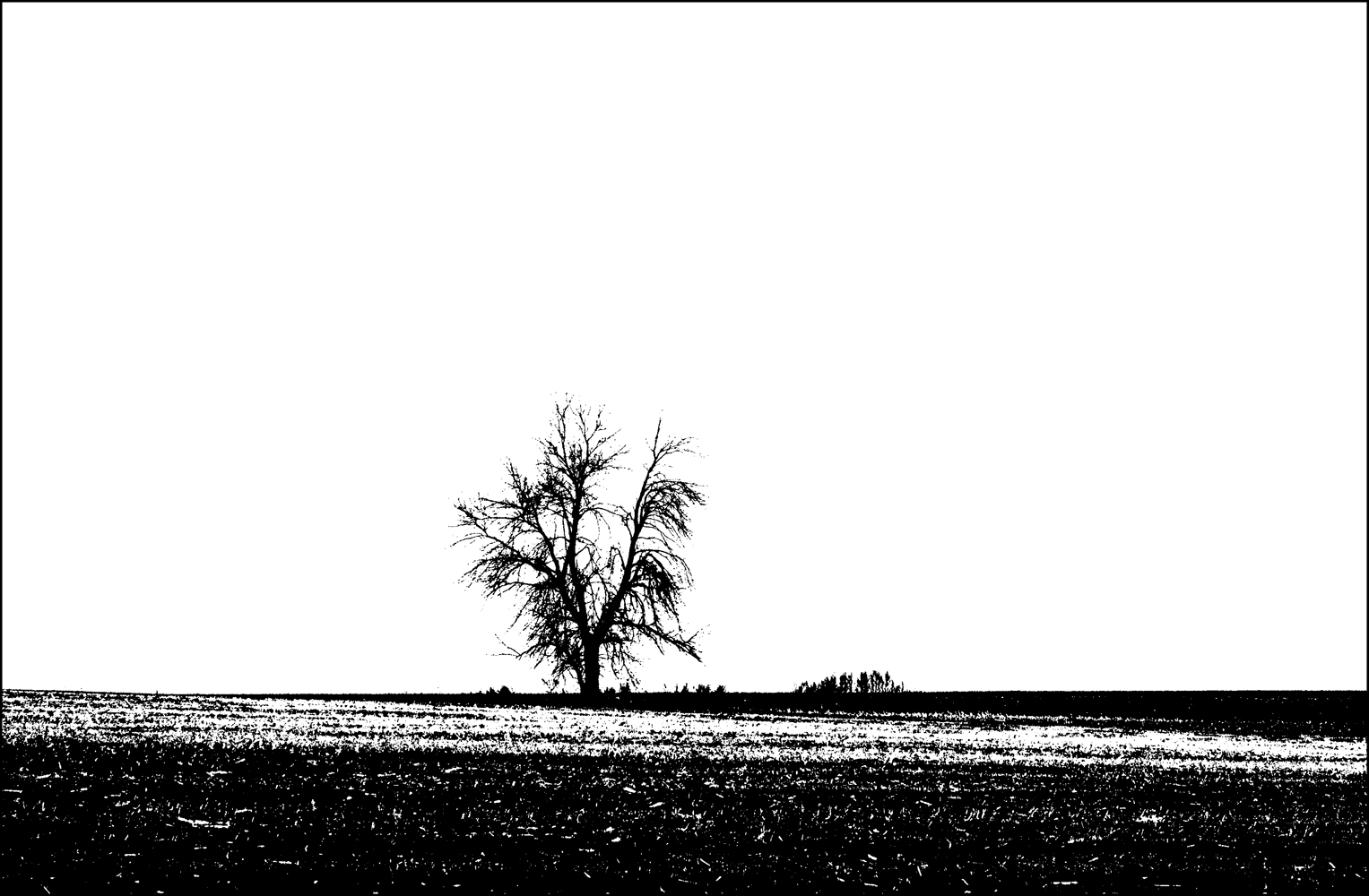 photo "***" tags: landscape, field, spring, tree, чернозем