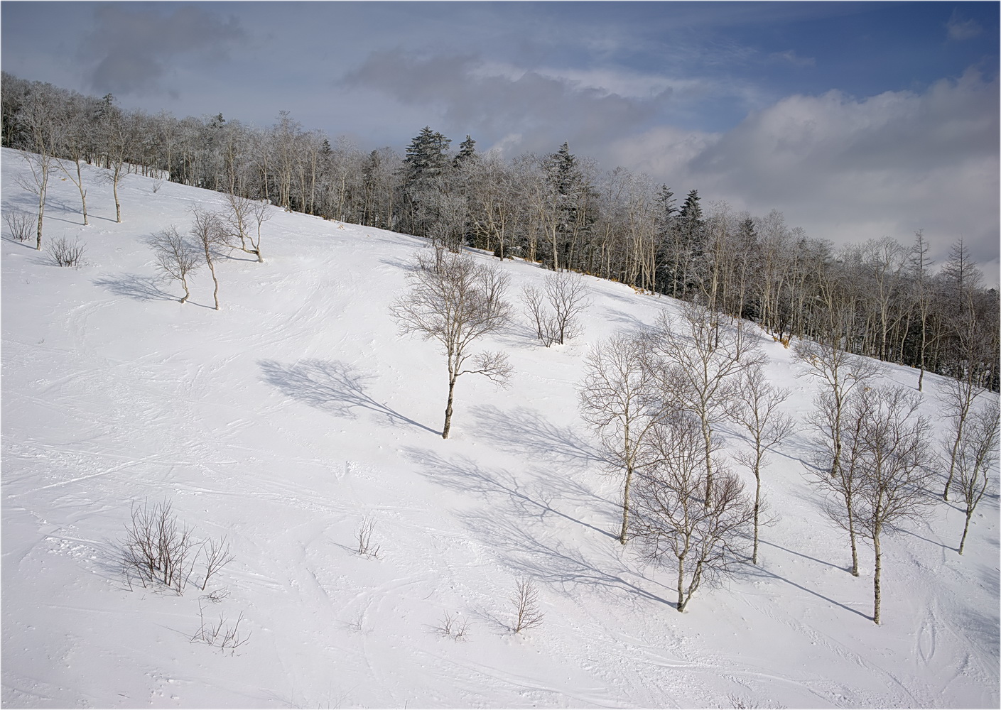 photo "***" tags: landscape, nature, Горный воздух. Южно-Сахалинск.