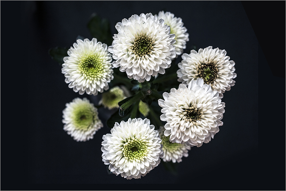 photo "***" tags: still life, 