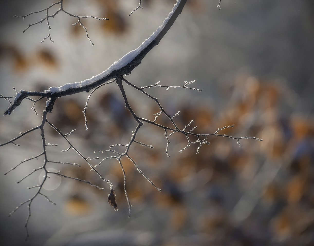 photo "***" tags: nature, 