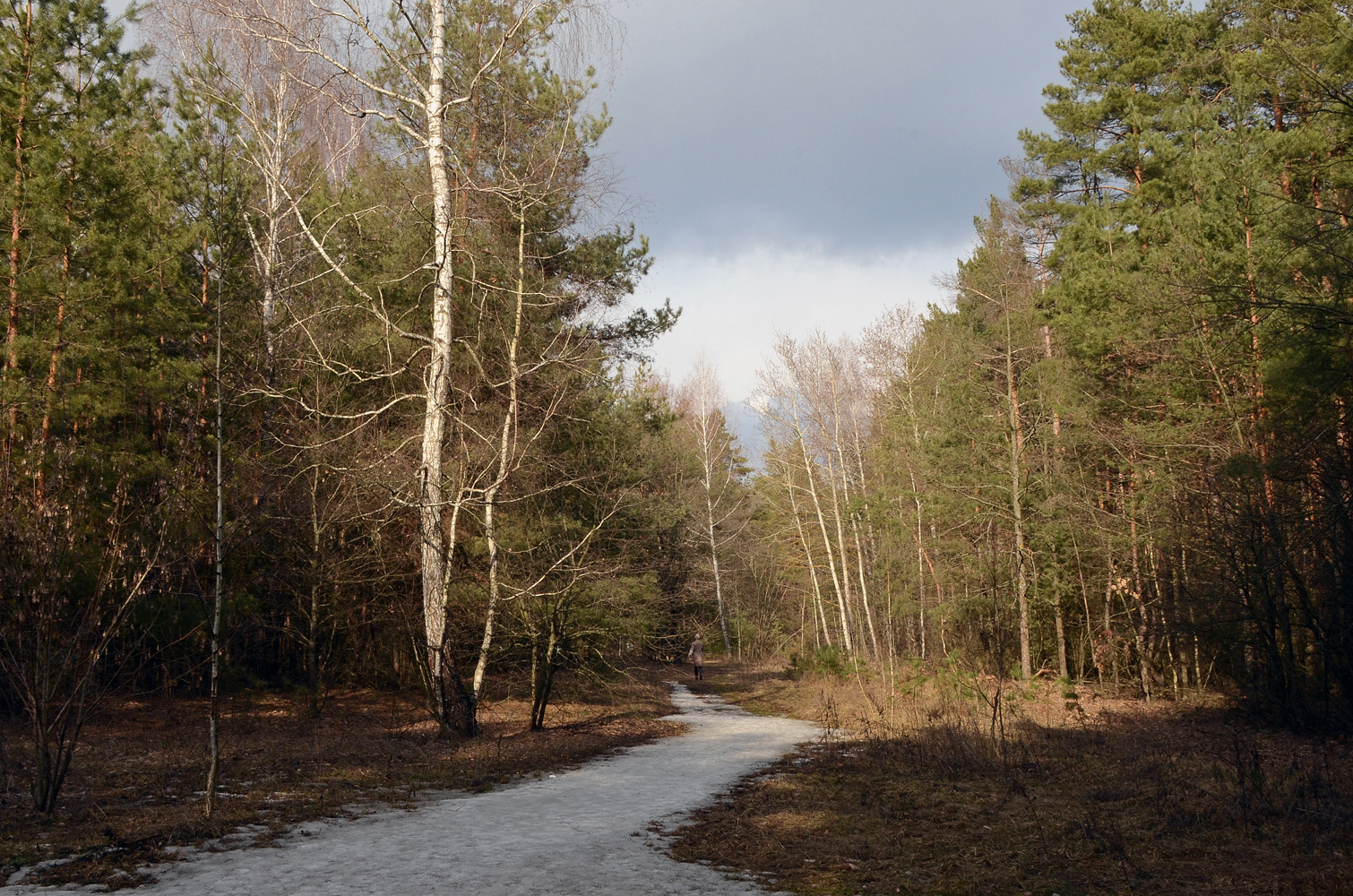 фото "Мартовский лес." метки: пейзаж, весна, лес, март, снег