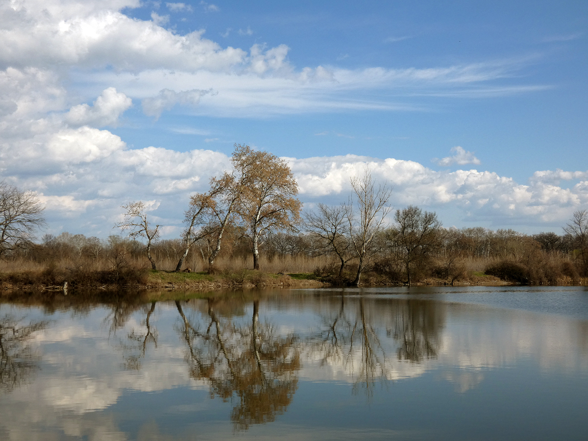 photo "***" tags: landscape, water