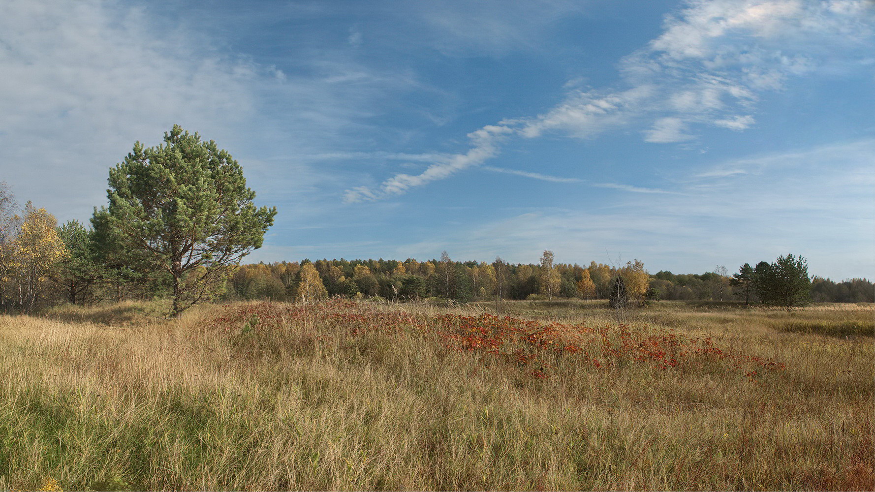 photo "***" tags: nature, landscape, 