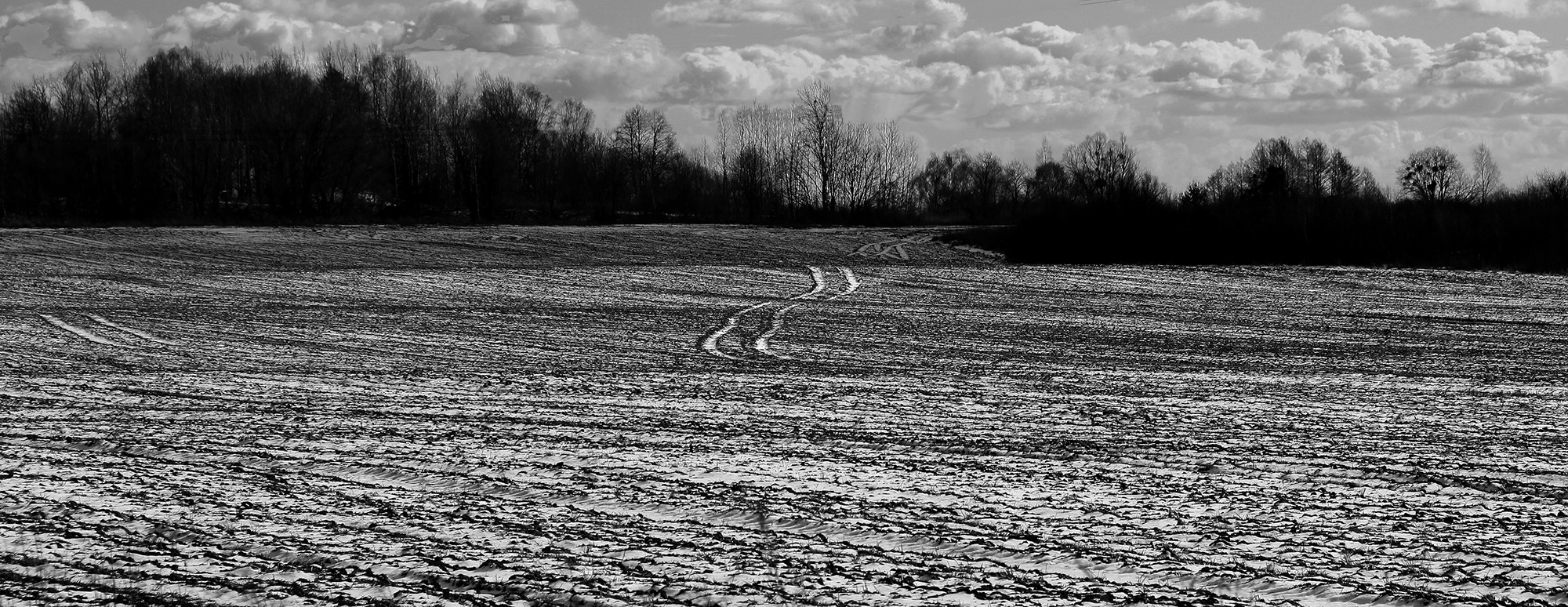 photo "***" tags: black&white, landscape, 