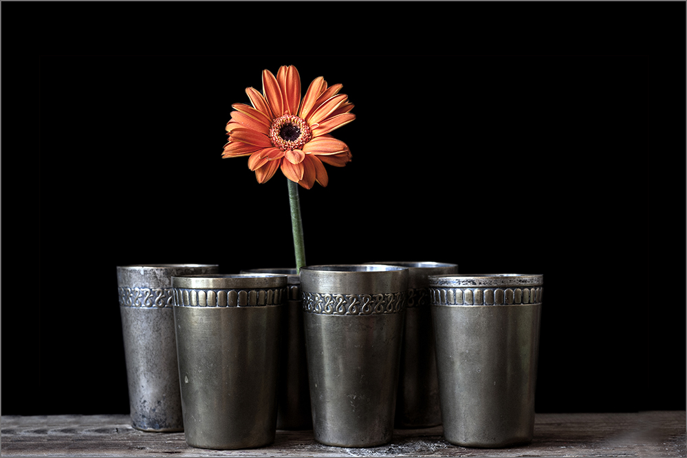 photo "***" tags: still life, 