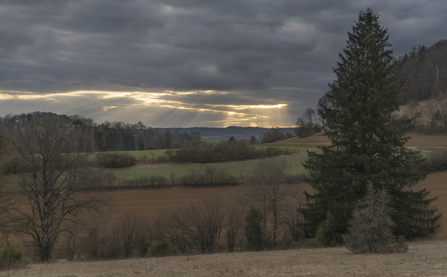 photo "***" tags: landscape, 