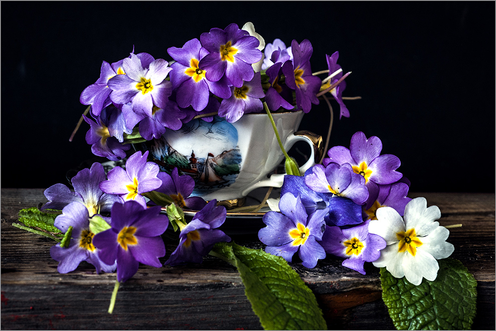 photo "***" tags: still life, 