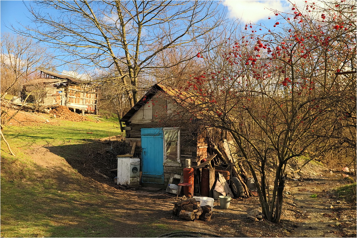 фото "В деревне" метки: разное, 