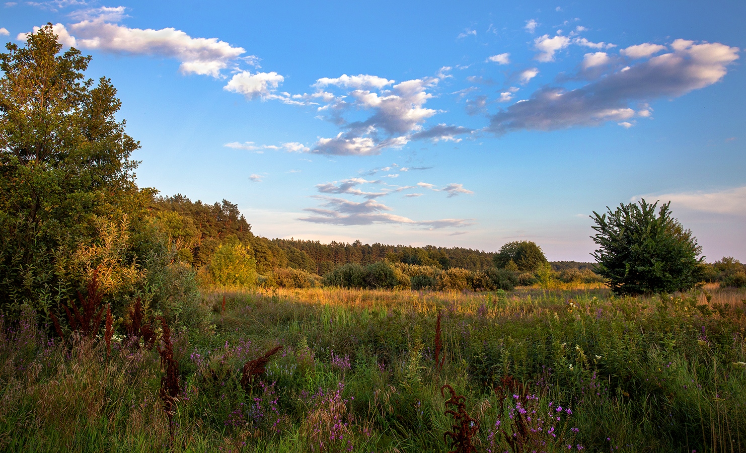 photo "***" tags: landscape, 