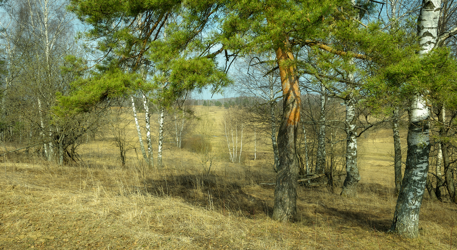 фото "апрельский полдень" метки: пейзаж, природа, 