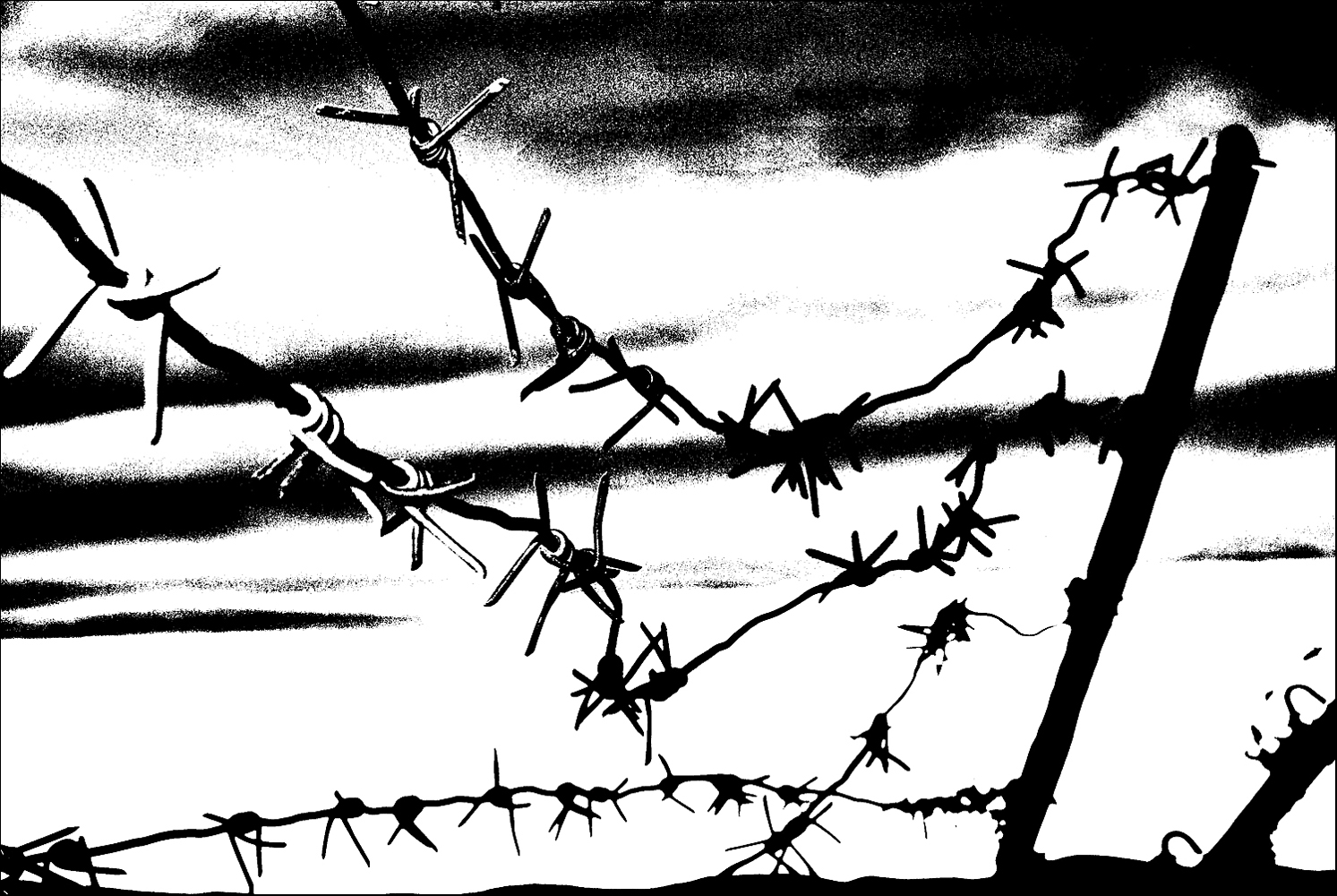 photo "***" tags: misc., 