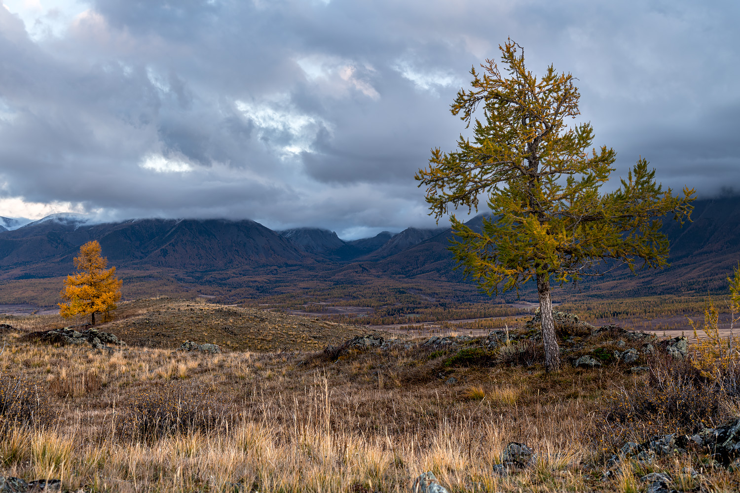 photo "***" tags: landscape, travel, autumn, Алтай, путешествие