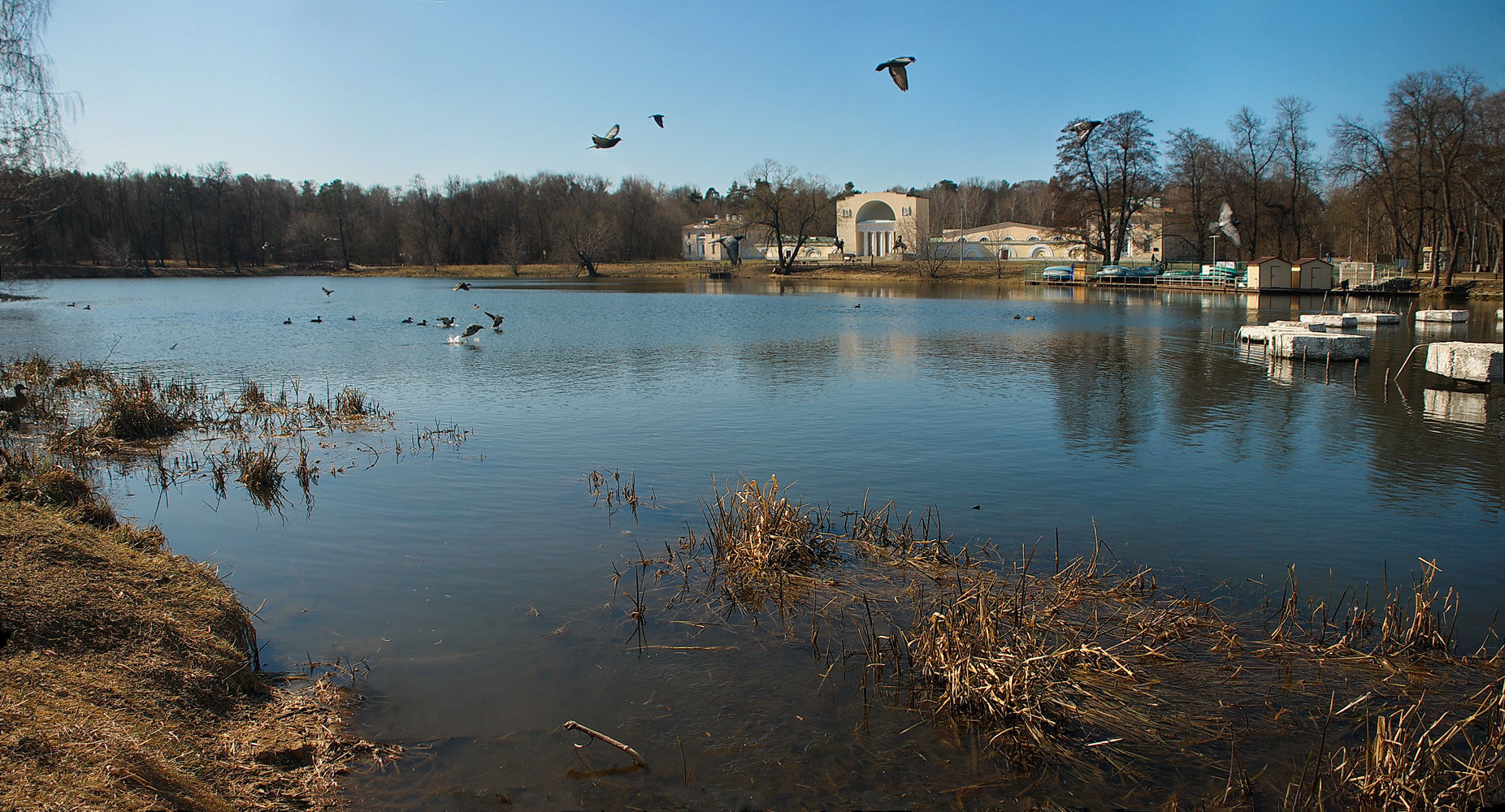 photo "***" tags: landscape, nature, 