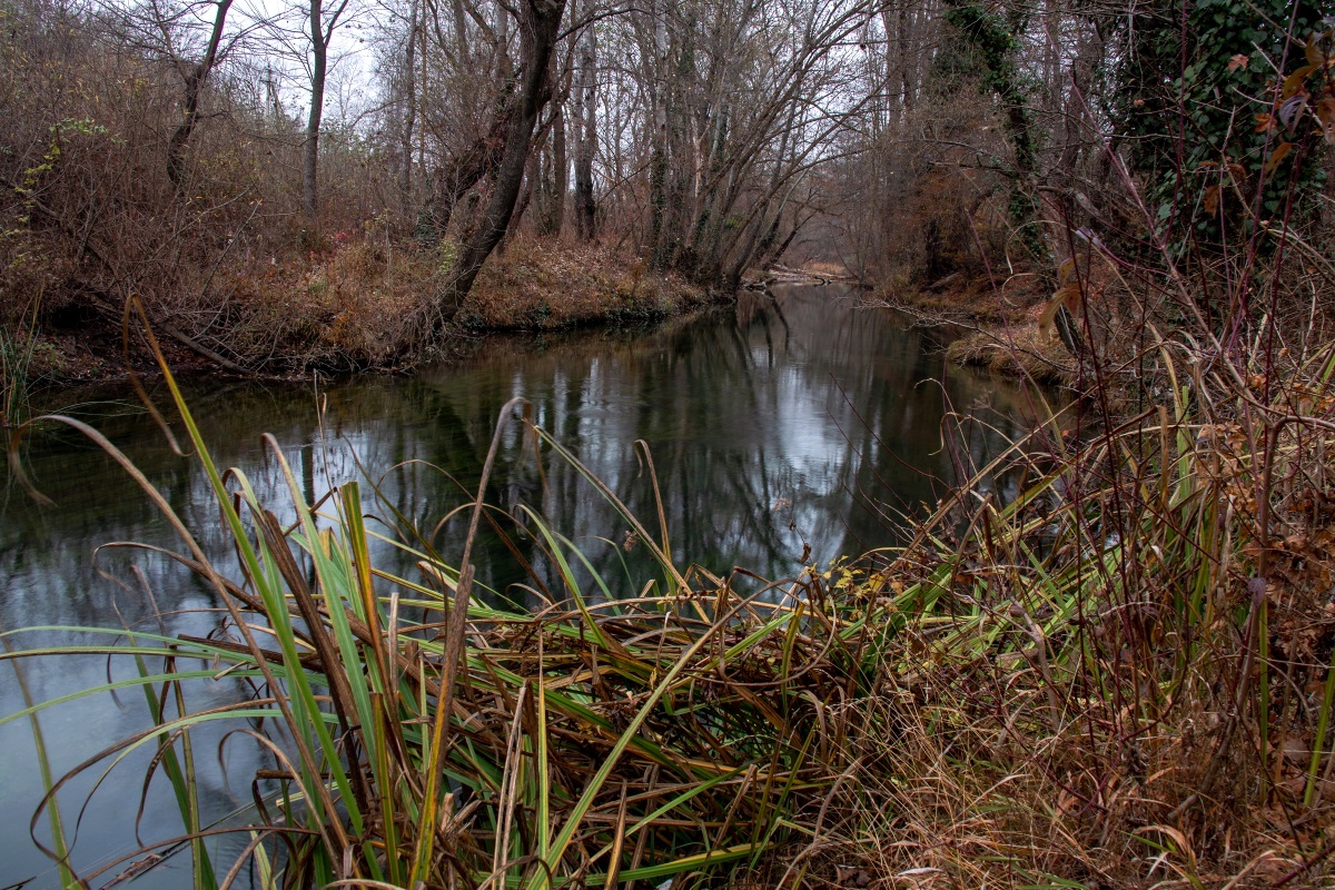 photo "***" tags: landscape, nature, 