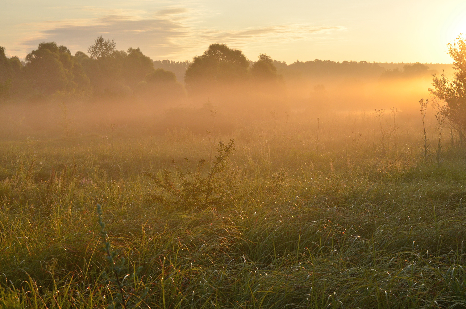 photo "***" tags: landscape, fog, morning, sunrise