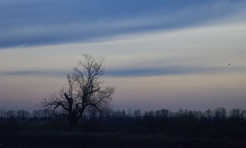 фото "Towards The Evening Star" метки: пейзаж, природа, весна, вечер, даль, закат, меланхолия, поле, полесье, синева