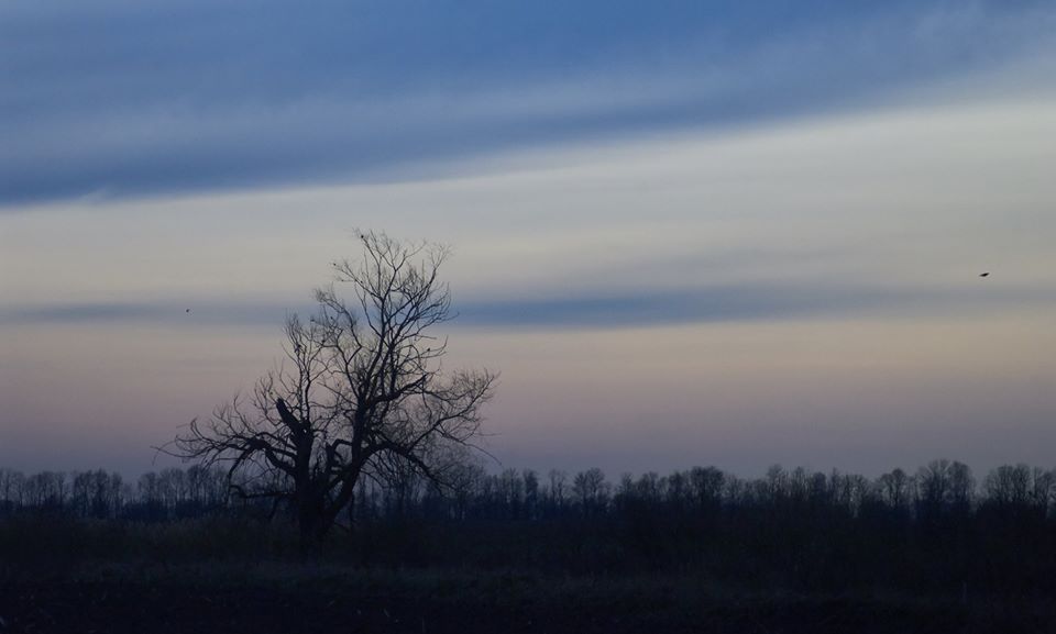 photo "***" tags: landscape, nature, evening, field, spring, sunset, даль, меланхолия, полесье, синева