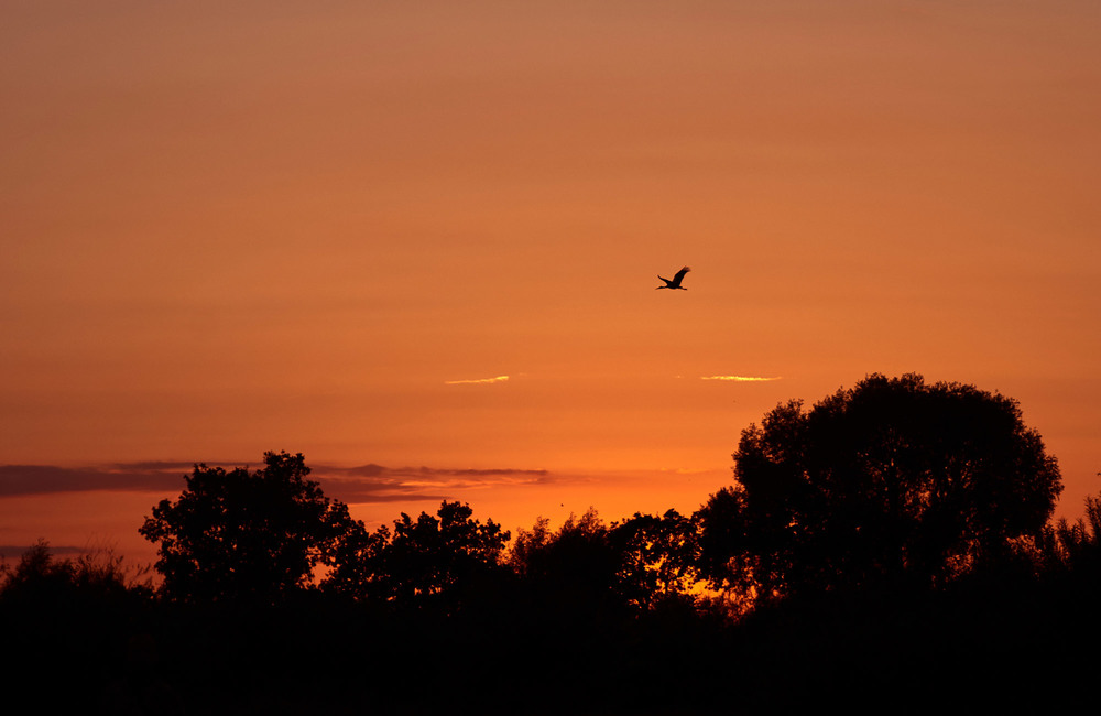 photo "***" tags: landscape, nature, evening, sky, summer, sunset, даль, настроение