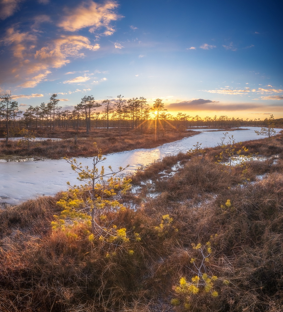 photo "***" tags: landscape, spring, sunset, болото, ленобласть