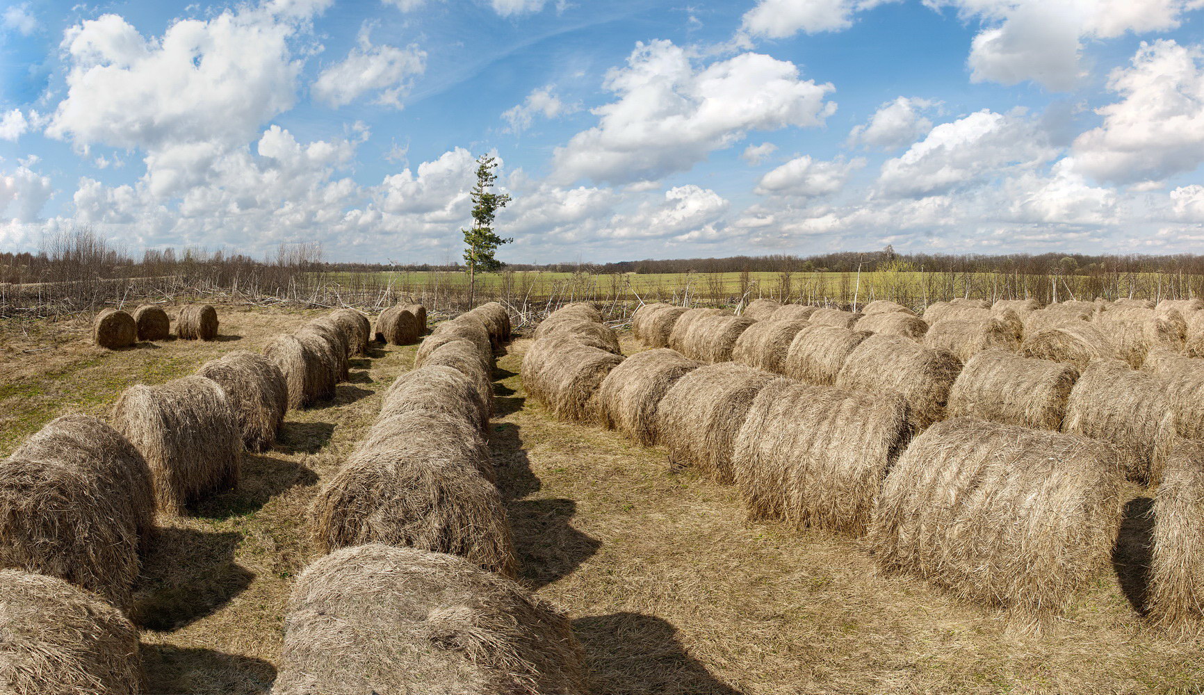 photo "***" tags: landscape, nature, 