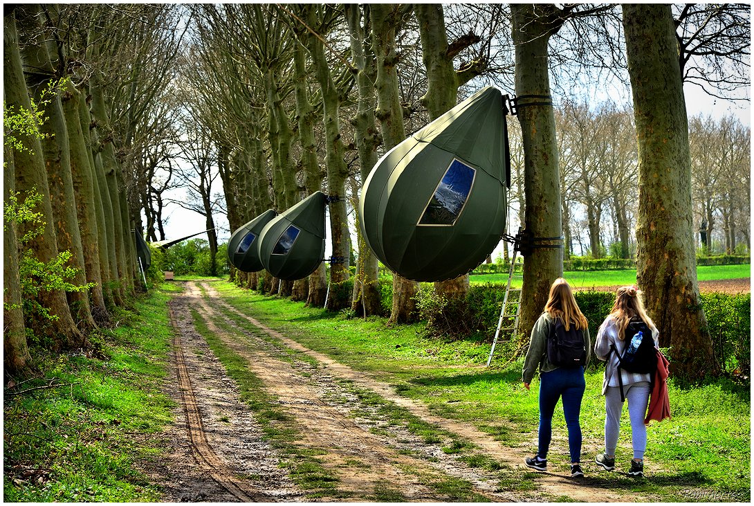 фото "CAMPING IN THE TREES" метки: пейзаж, архитектура, природа, 