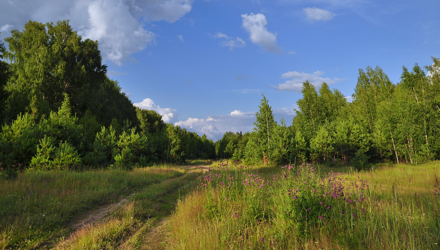 photo "***" tags: landscape, nature, travel, 