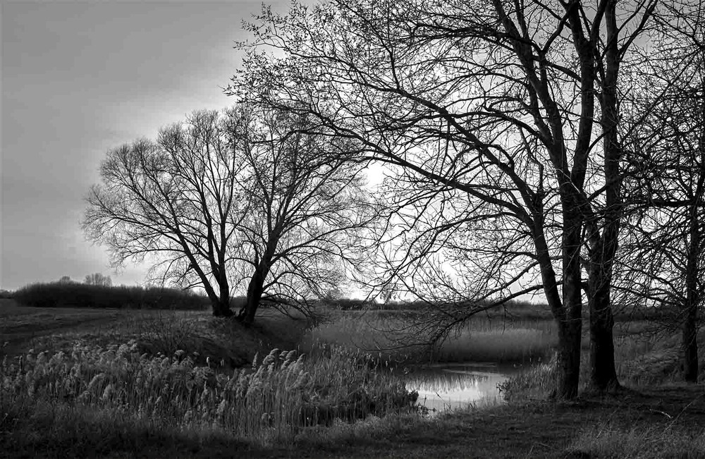 photo "***" tags: landscape, black&white, bw, clouds, evening, sky, spring, меланхолия, настроение