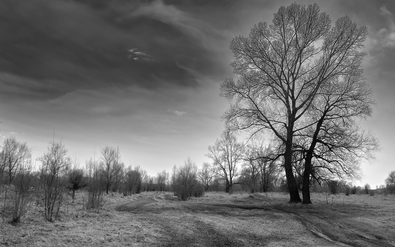 photo "***" tags: black&white, landscape, 