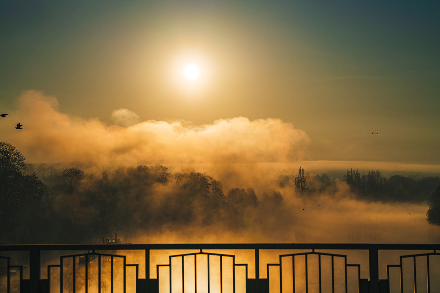 photo "***" tags: landscape, nature, travel, fog, fog, morning, morning