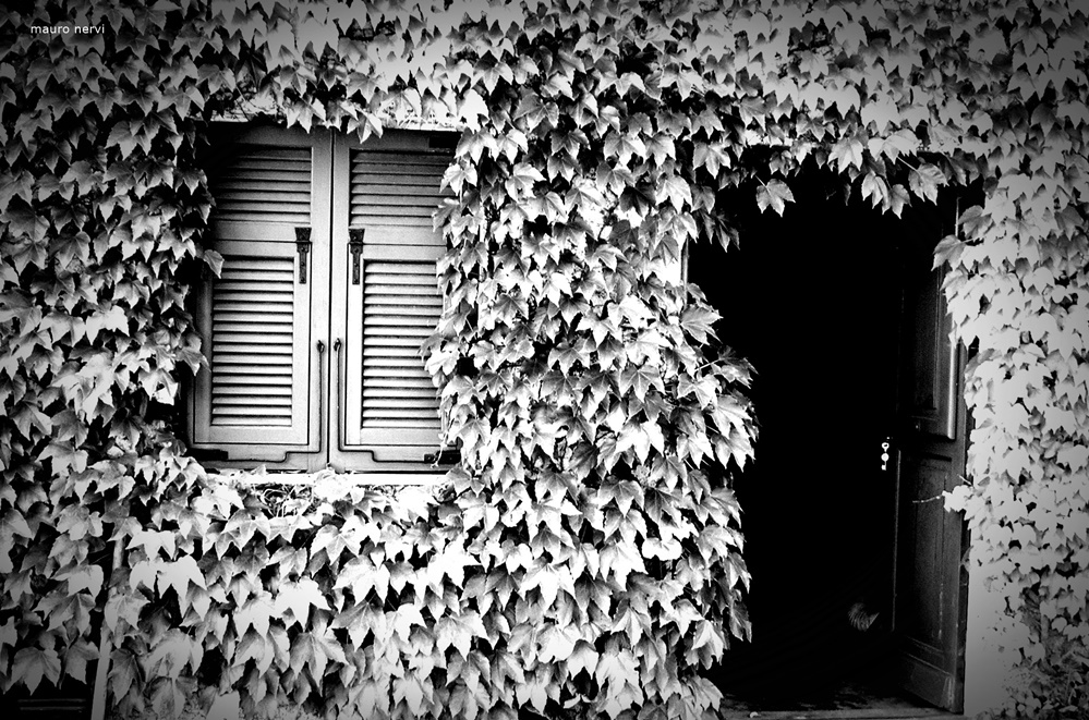 фото "countryside" метки: черно-белые, 
