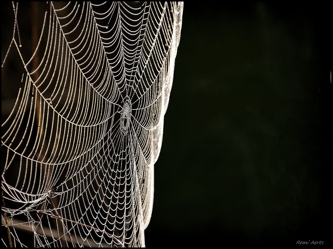 фото "***" метки: , 